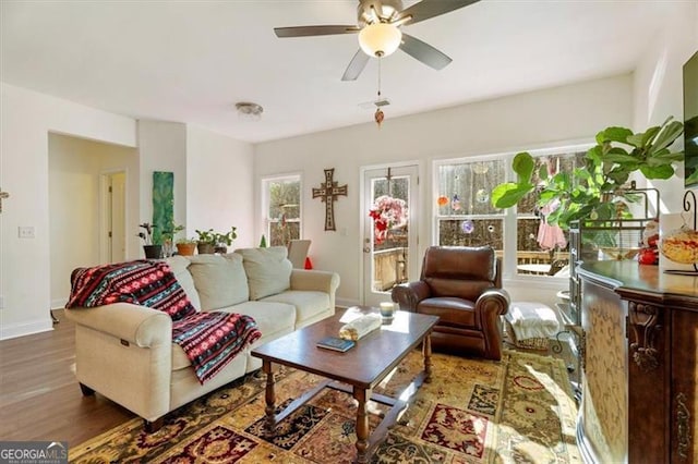 living room with ceiling fan and wood-type flooring