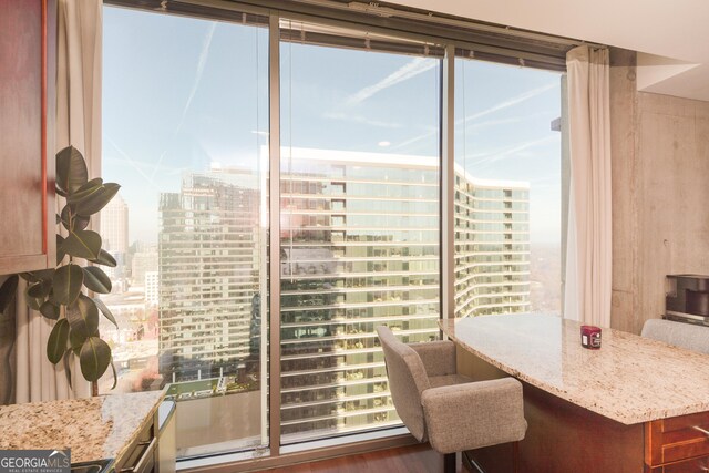 interior space with a healthy amount of sunlight and hardwood / wood-style flooring