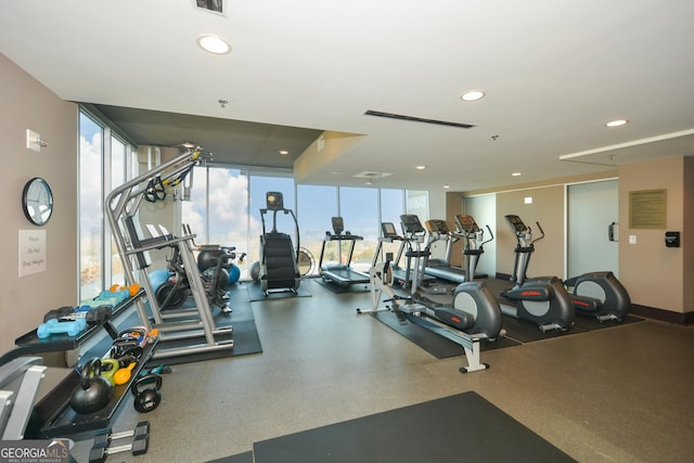 exercise room with expansive windows and a wealth of natural light