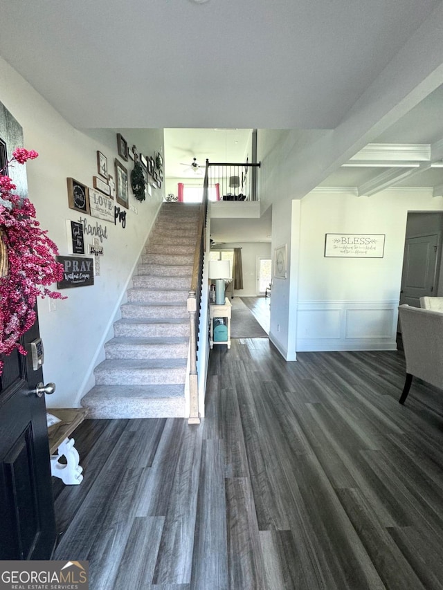 staircase with hardwood / wood-style floors