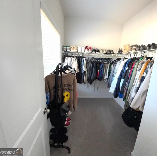 spacious closet with carpet flooring