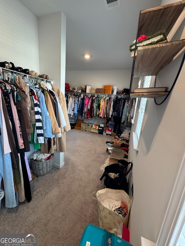 spacious closet featuring carpet floors