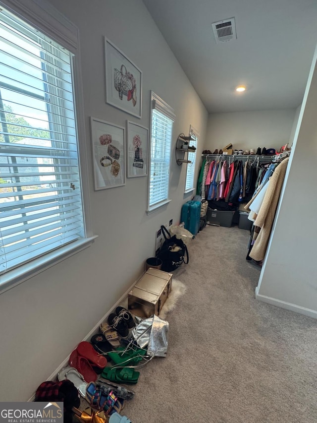 spacious closet featuring carpet flooring