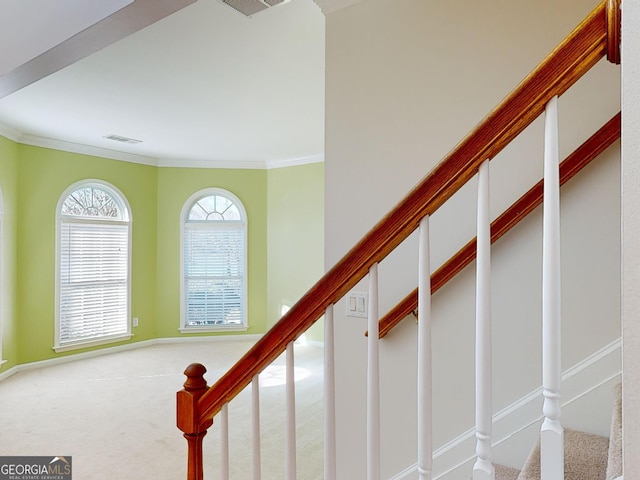 stairs with crown molding and carpet floors