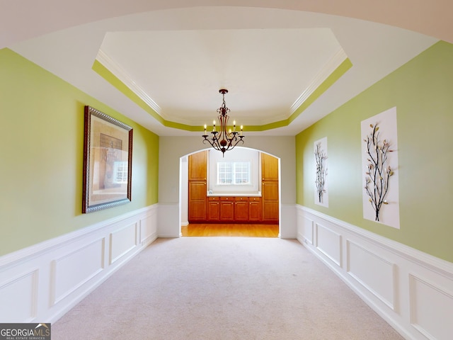 spare room with light colored carpet and a tray ceiling