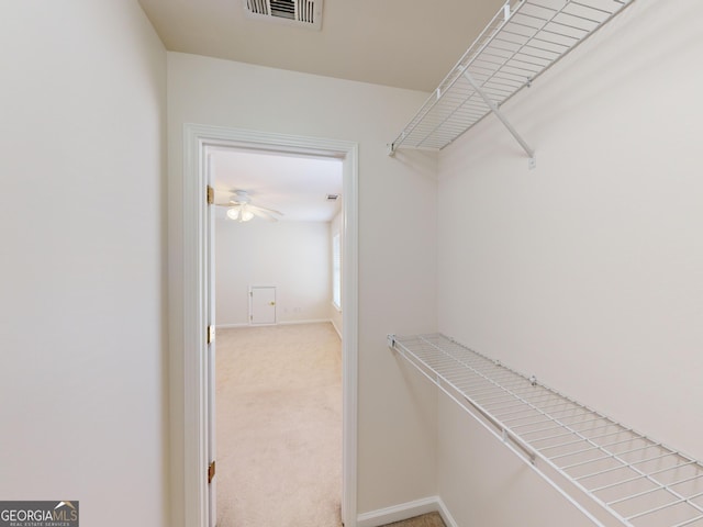 spacious closet with ceiling fan and carpet floors