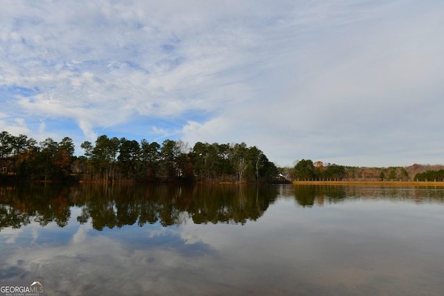 property view of water