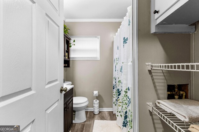 bathroom featuring hardwood / wood-style floors, vanity, crown molding, toilet, and a fireplace