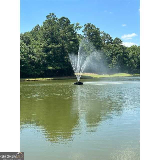 view of water feature