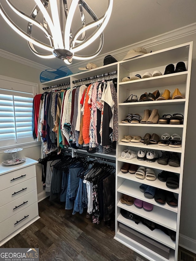 walk in closet with dark hardwood / wood-style flooring