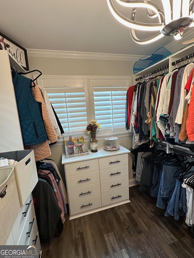 spacious closet with dark wood-type flooring