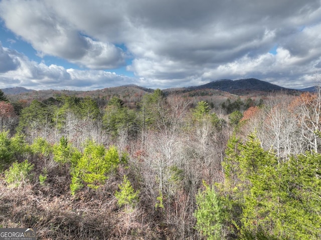 property view of mountains