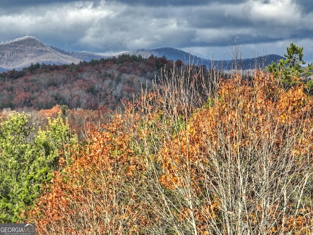 view of mountain feature