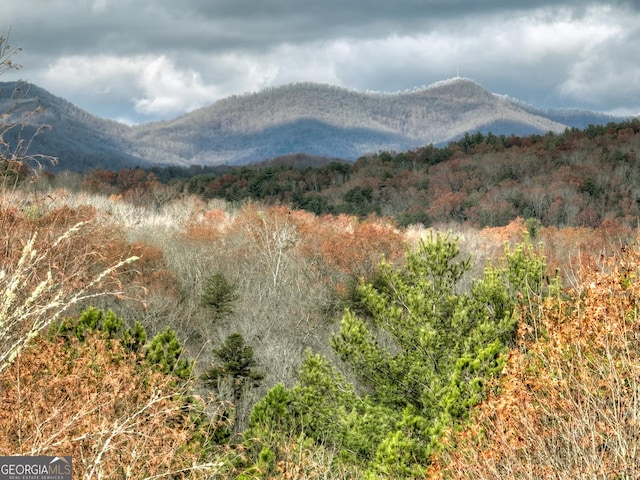 view of mountain feature