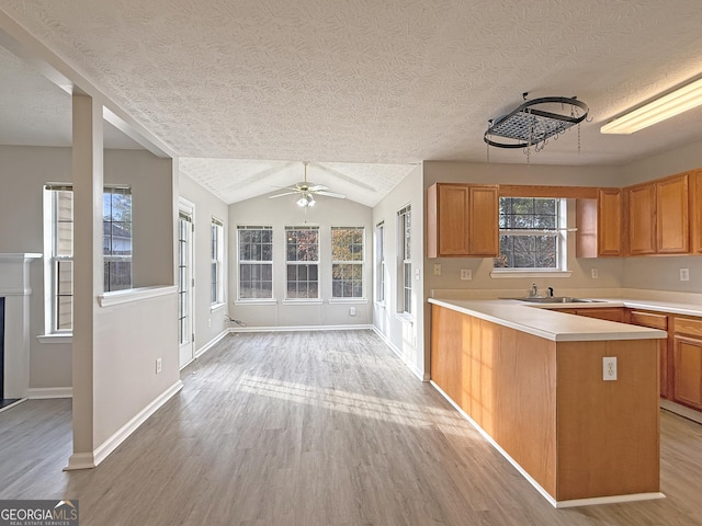 kitchen featuring plenty of natural light, kitchen peninsula, light hardwood / wood-style flooring, and vaulted ceiling