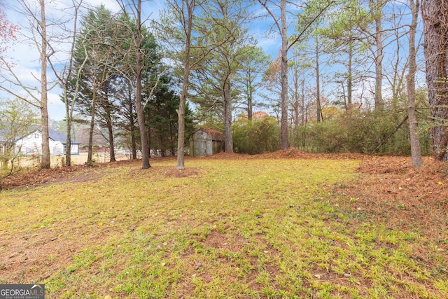 view of yard featuring a shed