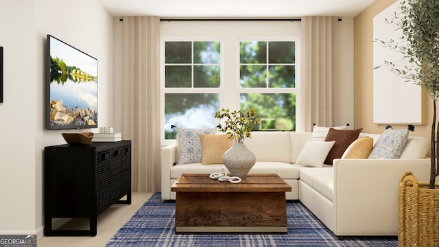 sitting room with carpet