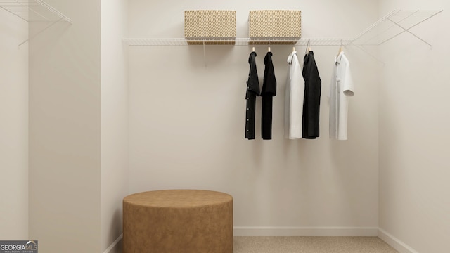 spacious closet featuring carpet flooring