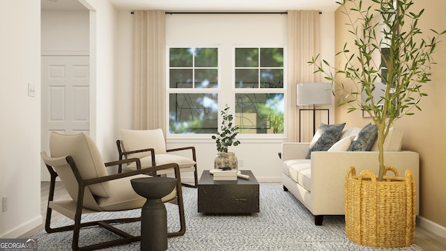 living area featuring wood-type flooring