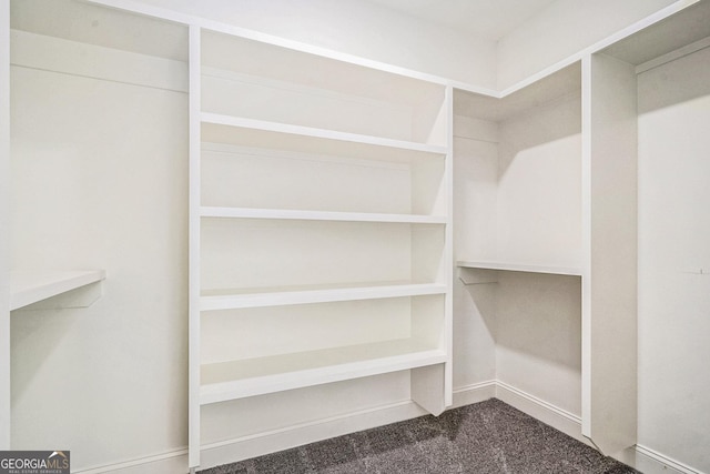 walk in closet with dark carpet