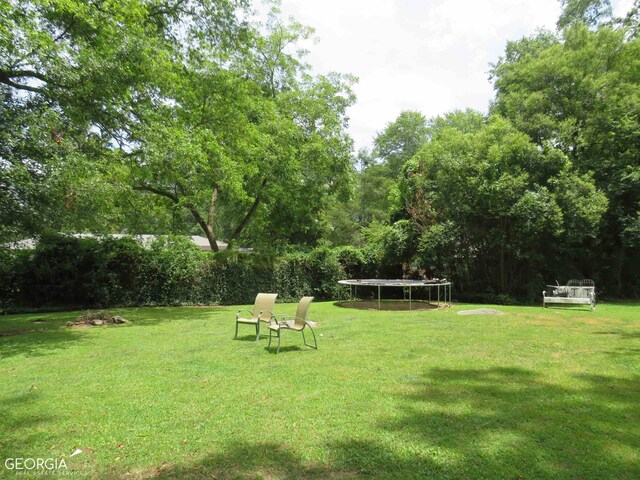 view of yard with a trampoline