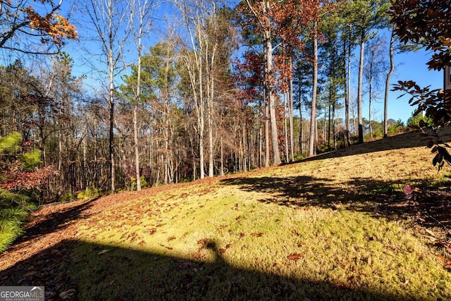 1560 Tapestry Rdg, Lawrenceville, GA 30045 - view of yard