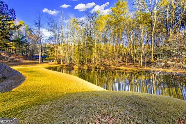 284 Tickanetley Rd, Ellijay, GA 30536 - water view