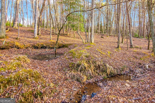 view of local wilderness