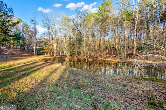 view of yard featuring a water view