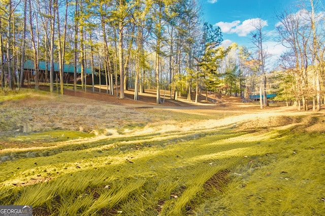 284 Tickanetley Rd, Ellijay, GA 30536 - view of property's community