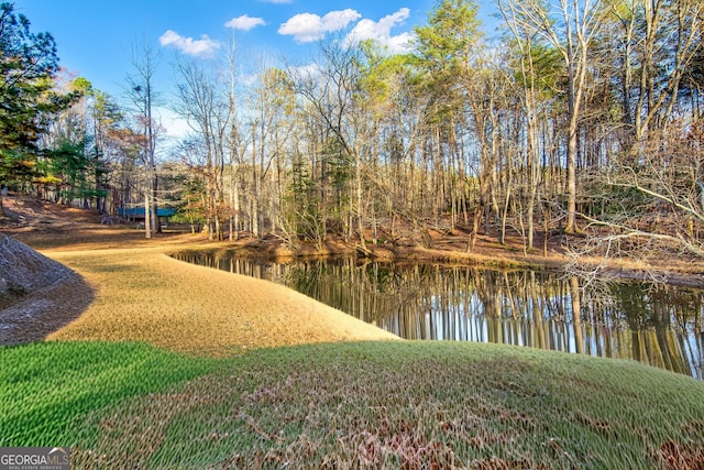 284 Tickanetley Rd, Ellijay, GA 30536 - water view