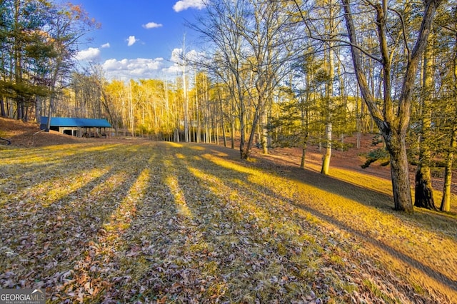 284 Tickanetley Rd, Ellijay, GA 30536 - view of home's community featuring a forest view