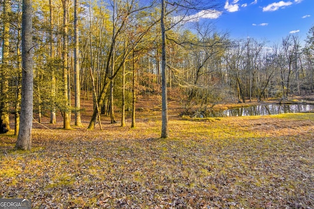 284 Tickanetley Rd, Ellijay, GA 30536 - view of yard featuring a water view and a forest view
