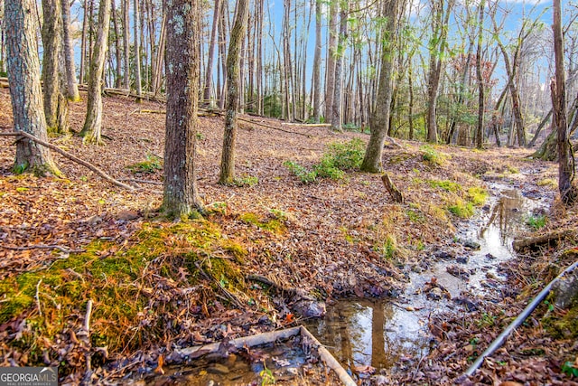 view of nature with a wooded view