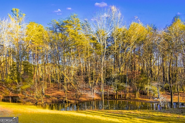 284 Tickanetley Rd, Ellijay, GA 30536 - view of community with a water view