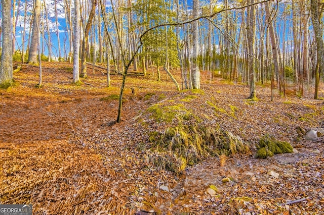 284 Tickanetley Rd, Ellijay, GA 30536 - view of yard
