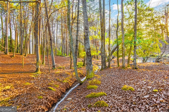 284 Tickanetley Rd, Ellijay, GA 30536 - view of local wilderness