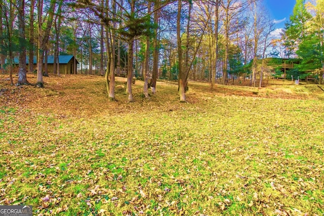 284 Tickanetley Rd, Ellijay, GA 30536 - view of yard