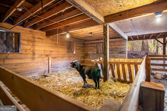 view of horse barn