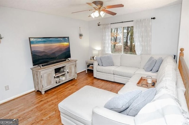 living room featuring ceiling fan and light hardwood / wood-style flooring