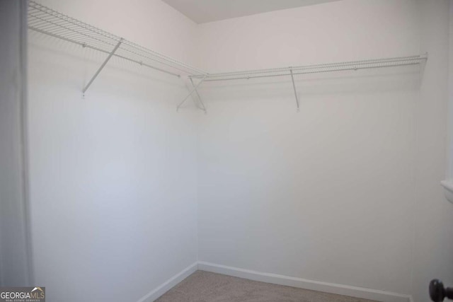 walk in closet featuring carpet