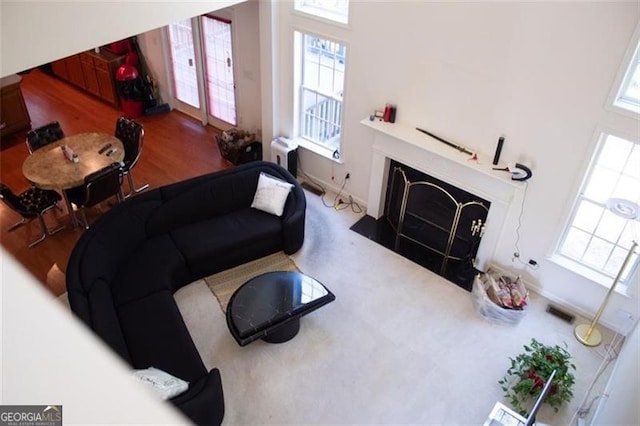 living room featuring radiator