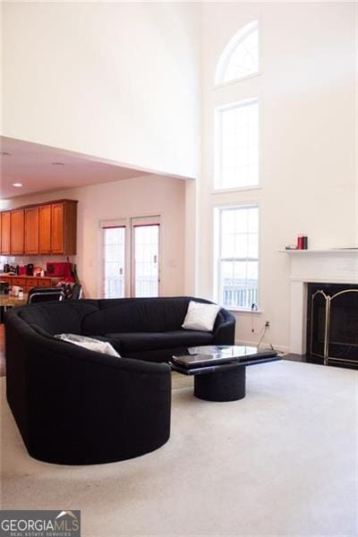 living room featuring a towering ceiling