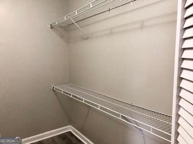 spacious closet featuring wood-type flooring