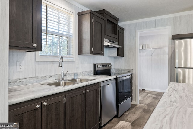 kitchen with sink, ventilation hood, crown molding, light hardwood / wood-style floors, and appliances with stainless steel finishes
