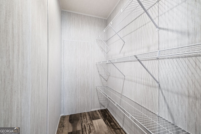 interior space with wood-type flooring