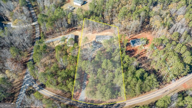 45 Tahoe Trl, Martin, GA 30557 - bird's eye view