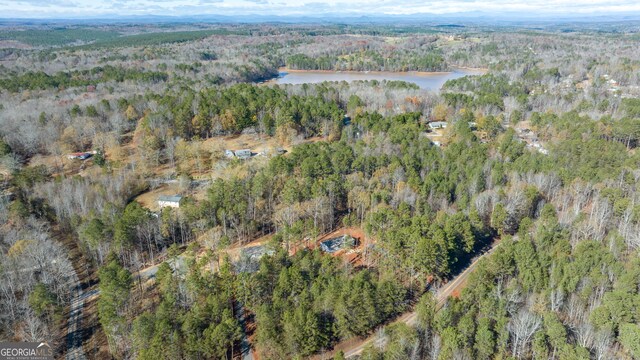 45 Tahoe Trl, Martin, GA 30557 - drone / aerial view with a water view