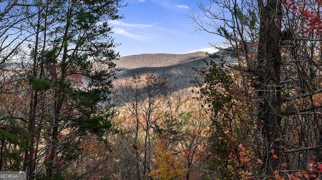 property view of mountains