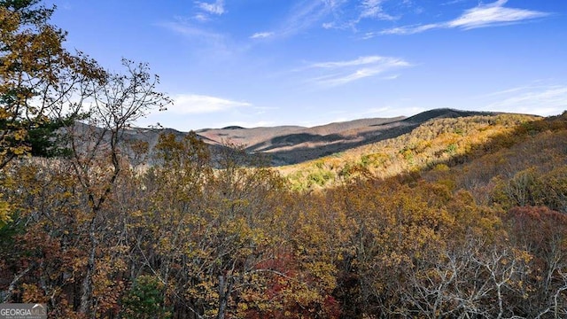 view of mountain feature